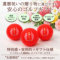 �җ�f�U�C�� �S���t�{�[�� ������ ���S�M�t�g