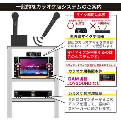 カラオケマイク 名入れ 名前入り ワイヤレス 赤外線 無線マイク カラオケ